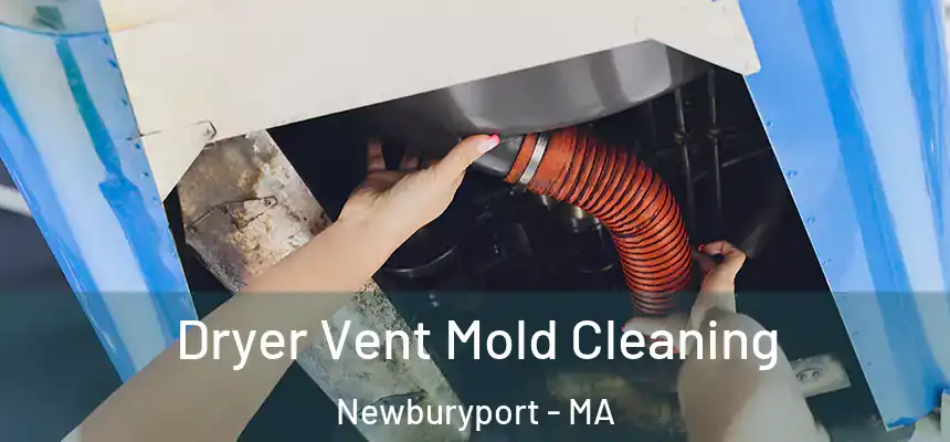  Dryer Vent Mold Cleaning Newburyport - MA