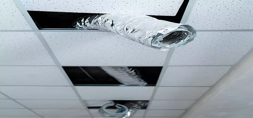 Affordable HVAC Sanitizing After Pest Removal in Newburyport