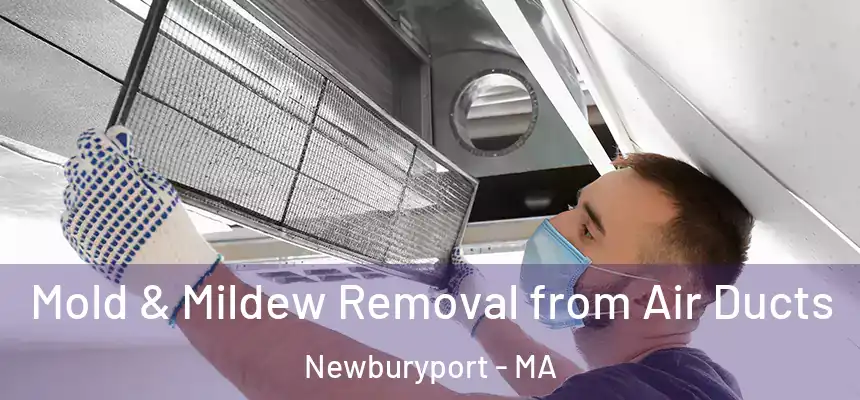  Mold & Mildew Removal from Air Ducts Newburyport - MA