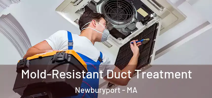  Mold-Resistant Duct Treatment Newburyport - MA