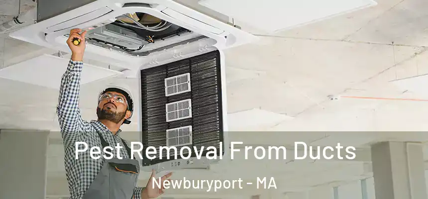  Pest Removal From Ducts Newburyport - MA
