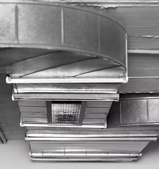 Professional Air Duct Pest Removal in Newburyport, MA