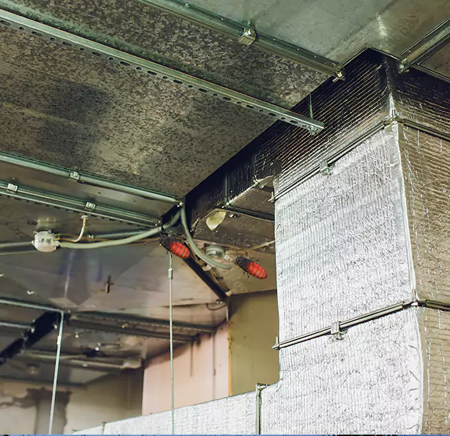 Why Homeowners & Businesses Trust Us in Newburyport, MA?