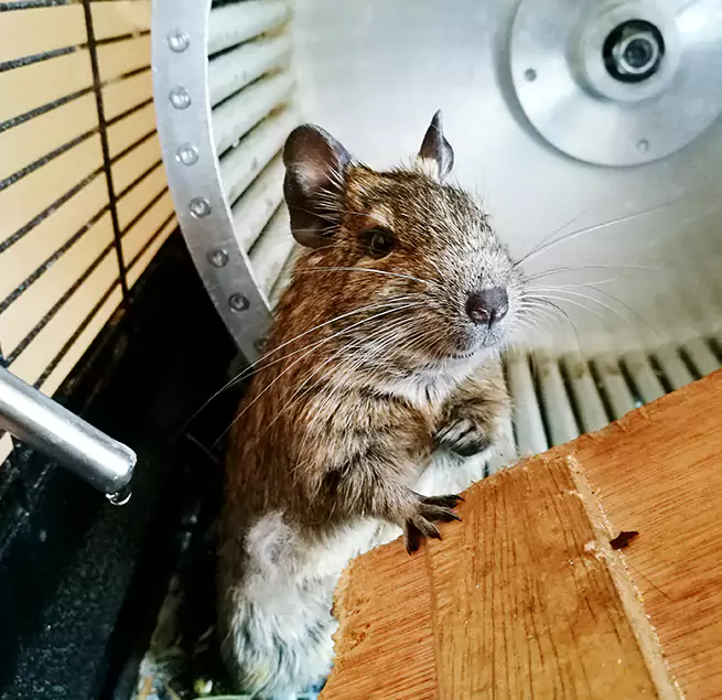 Why Homeowners & Businesses Trust Us Newburyport, MA