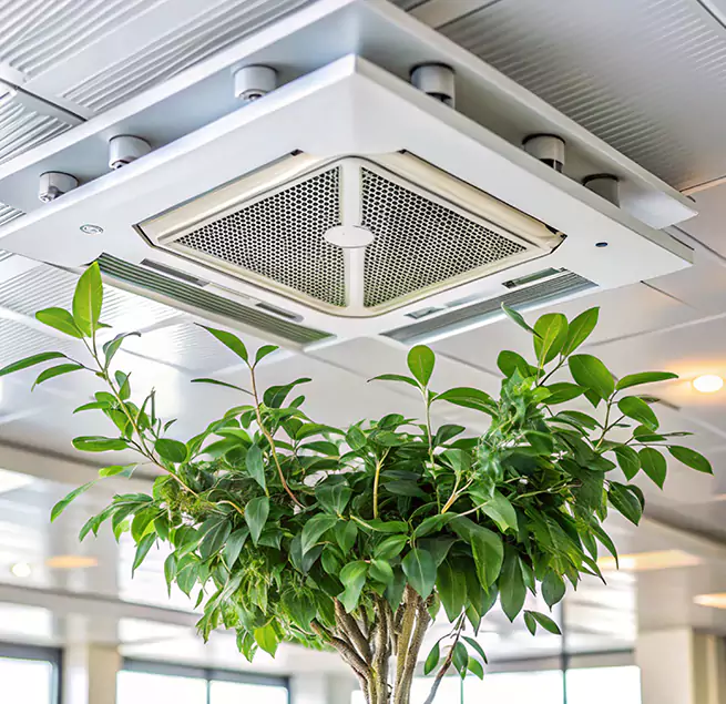 Why Homeowners & Businesses Trust Us in Newburyport, MA